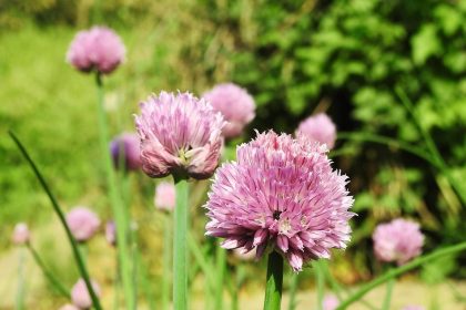 erfahren sie alles über die rolle einer hebamme, ihre wichtige unterstützung während der schwangerschaft und geburt sowie wertvolle tipps für werdende eltern.